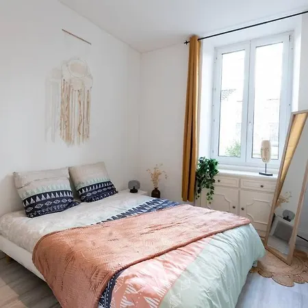 Entierement Renove Et Cosy Avec Jardin Mulhouse