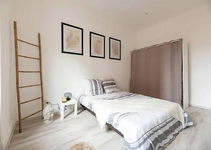 Entièrement Rénové Et Cosy Avec Jardin * Mulhouse