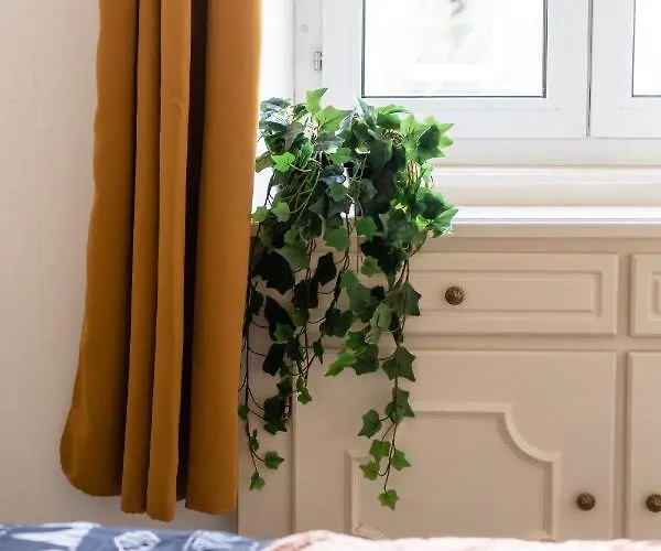 דירה Entierement Renove Et Cosy Avec Jardin *